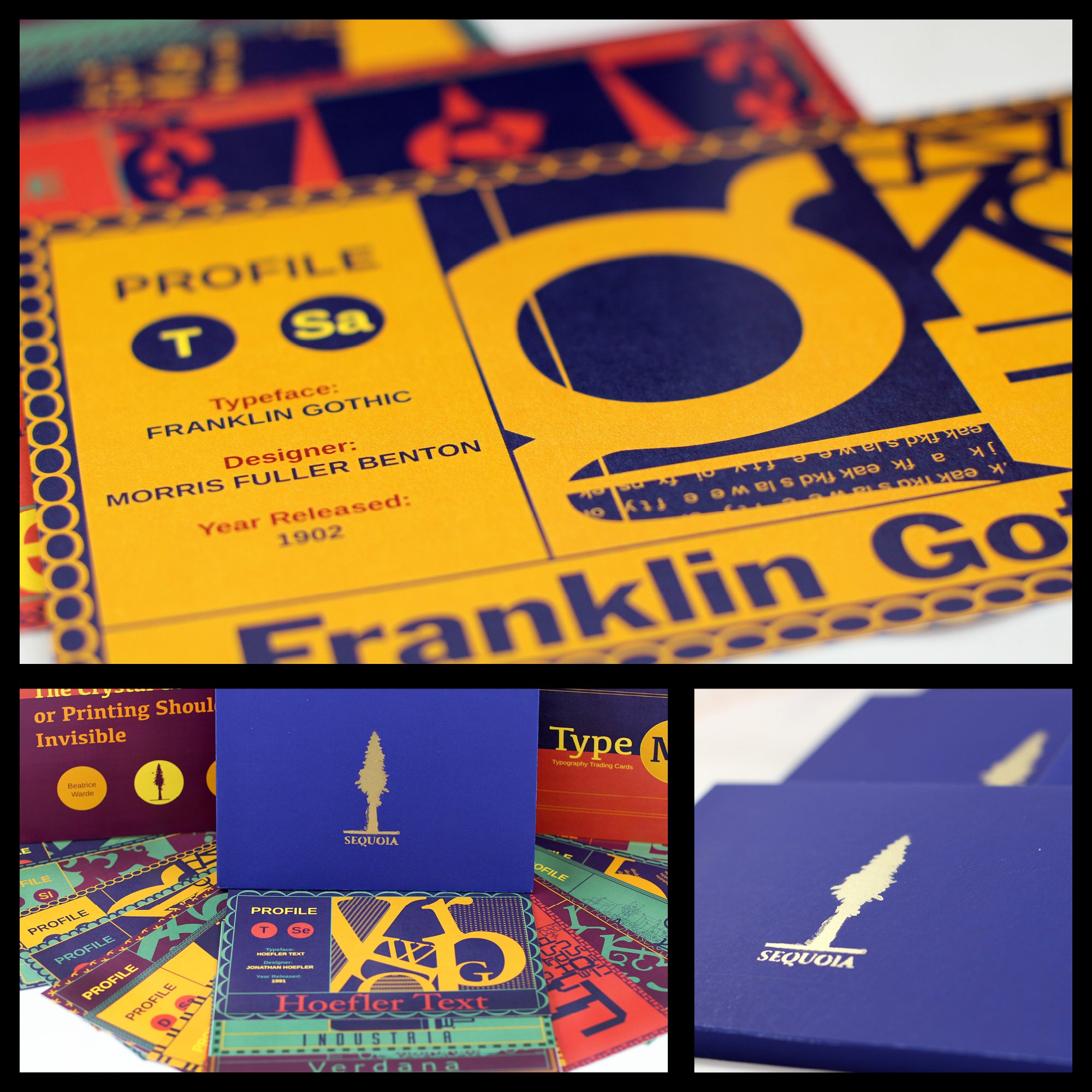 Sequoia magalog design